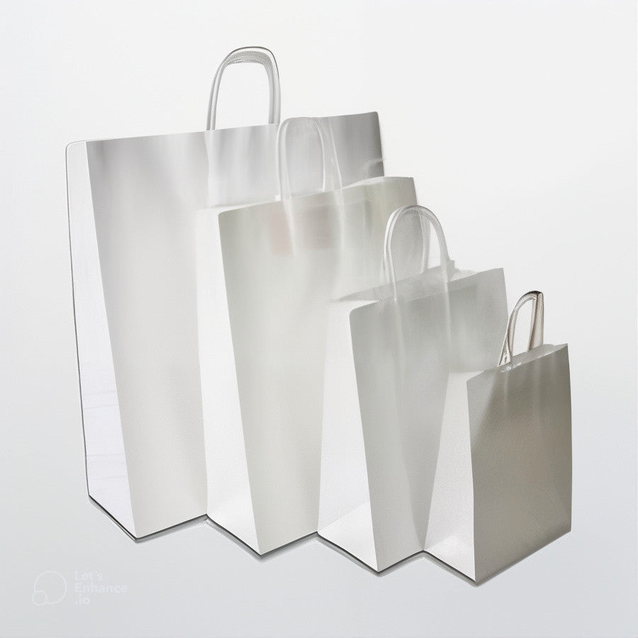 Paper Bag White Twisted Handle (250bags)